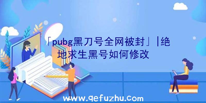 「pubg黑刀号全网被封」|绝地求生黑号如何修改